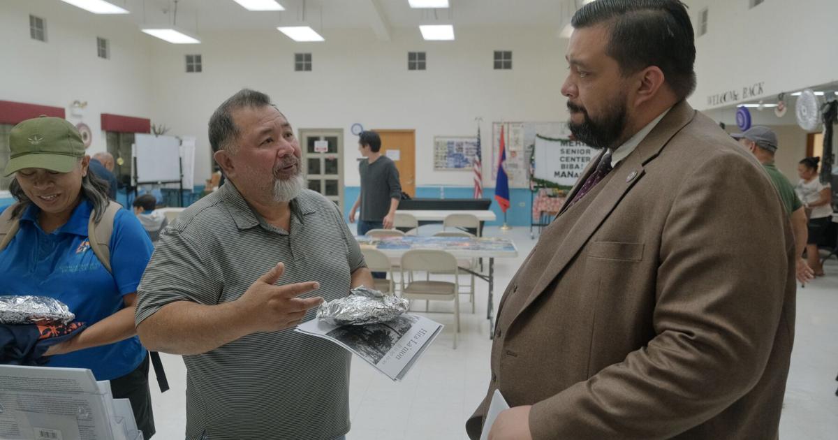 Referendum voting compromise proposed