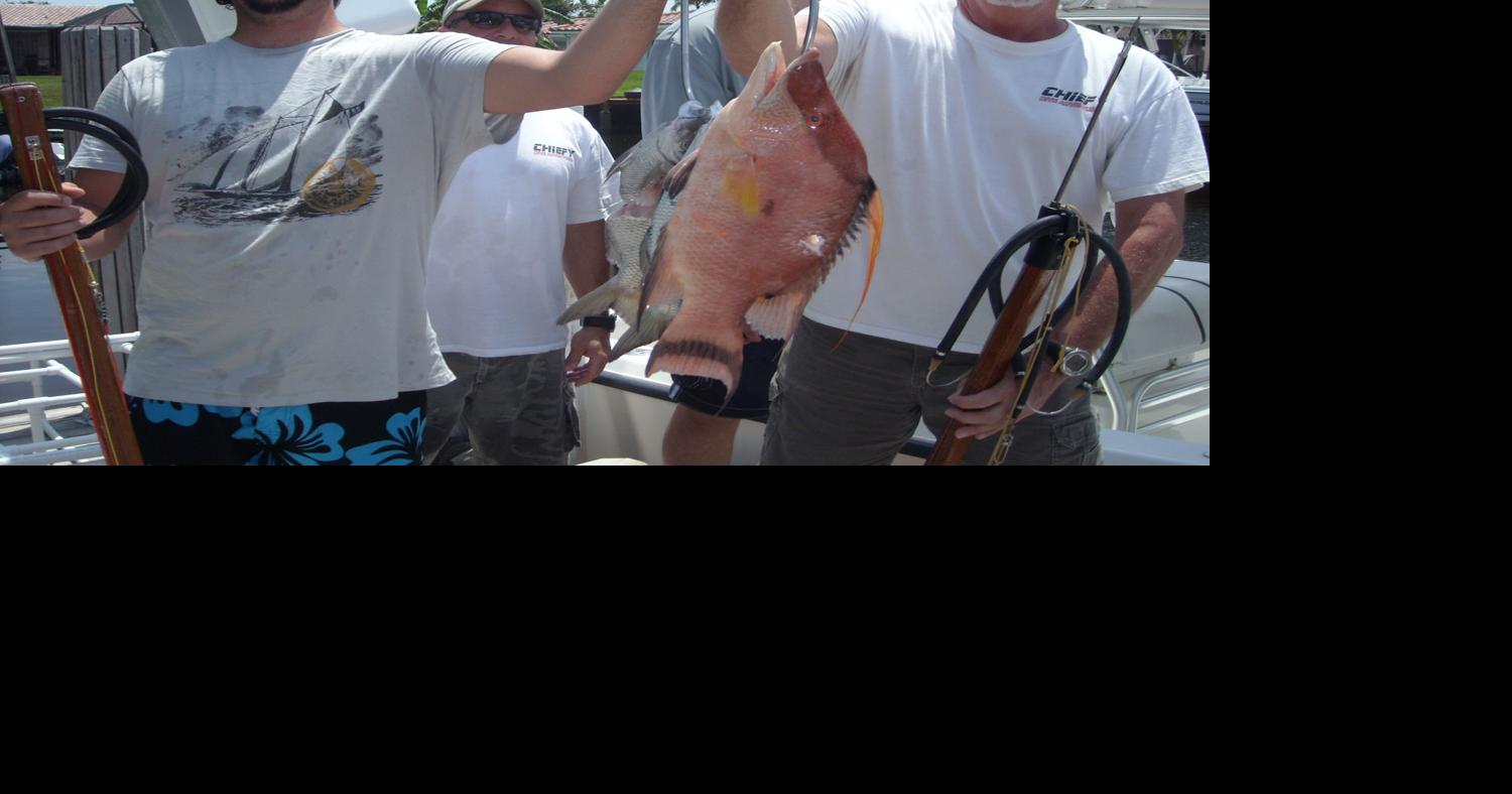 Spearfishing ban to protect coral reefs National Sports