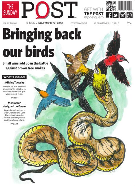 Bringing Back Our Birds Small Wins Add Up In The Battle Against