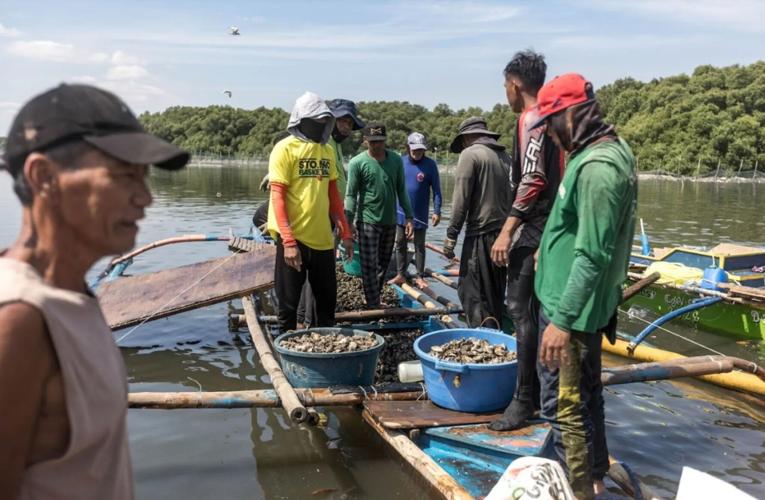 Philippines fishermen balk at land reclamation projects, Philippines/Asia