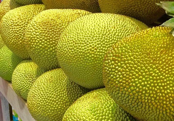 Fresh, Jackfruit — Melissas Produce