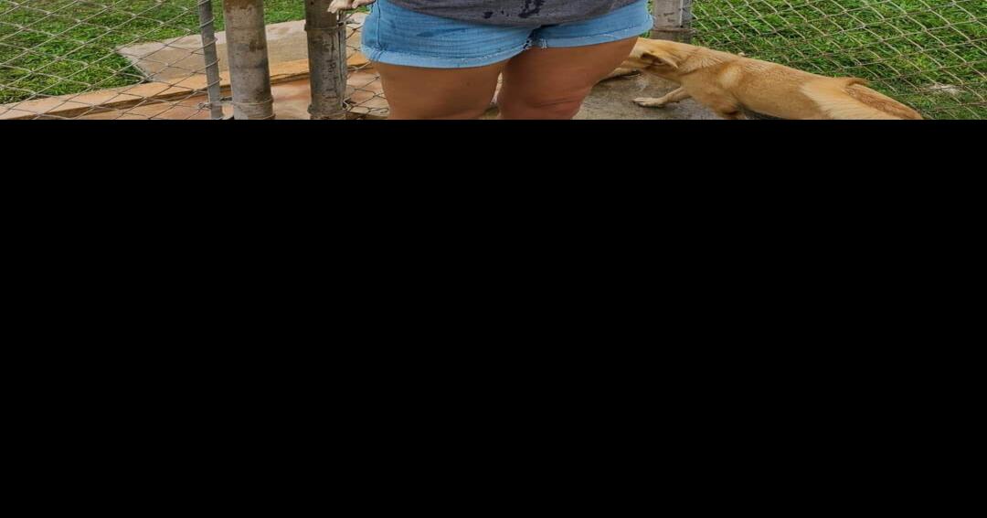 GAIN Practice responsible pet ownership Guam News