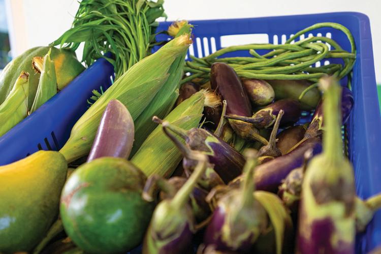 Consumer demand for food traceability presents an opportunity for Guam ...