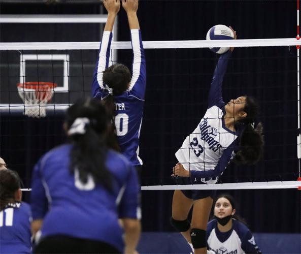 Cougars feast on Eagles in straight-set victory