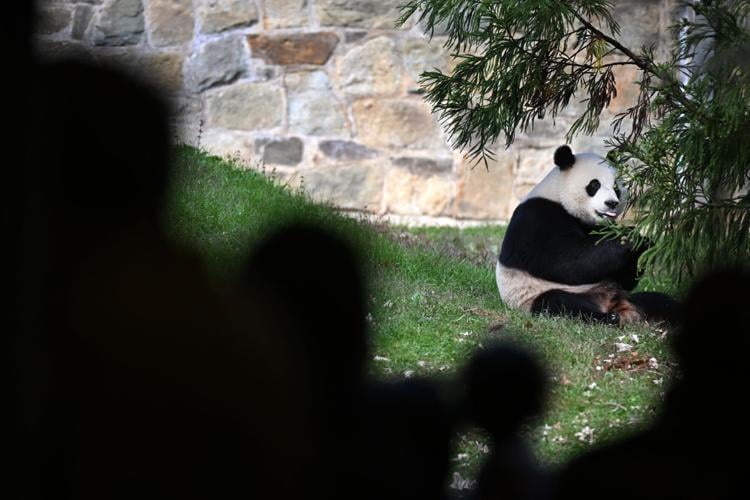 Scientists Figured Out The Best Way To Hold A Cup Of Coffee – Cooking Panda