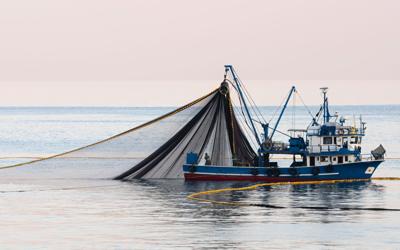 commercial fishing nets in pacific ocean Trump opens Pacific monument waters to commercial fishing | Local News