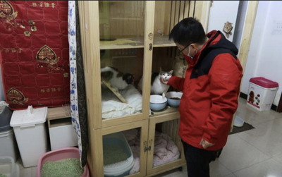 Animal Activist In Wuhan Happy To Be Back To Routine Rescues Lifestyle Postguam Com