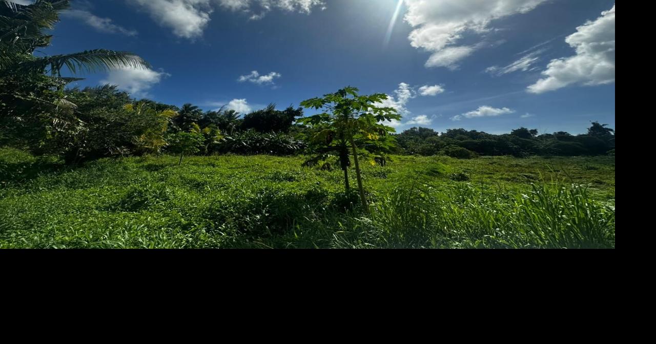 Controversial land bill withdrawn