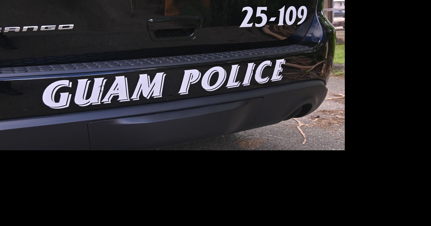 SWAT stops fleeing suspect