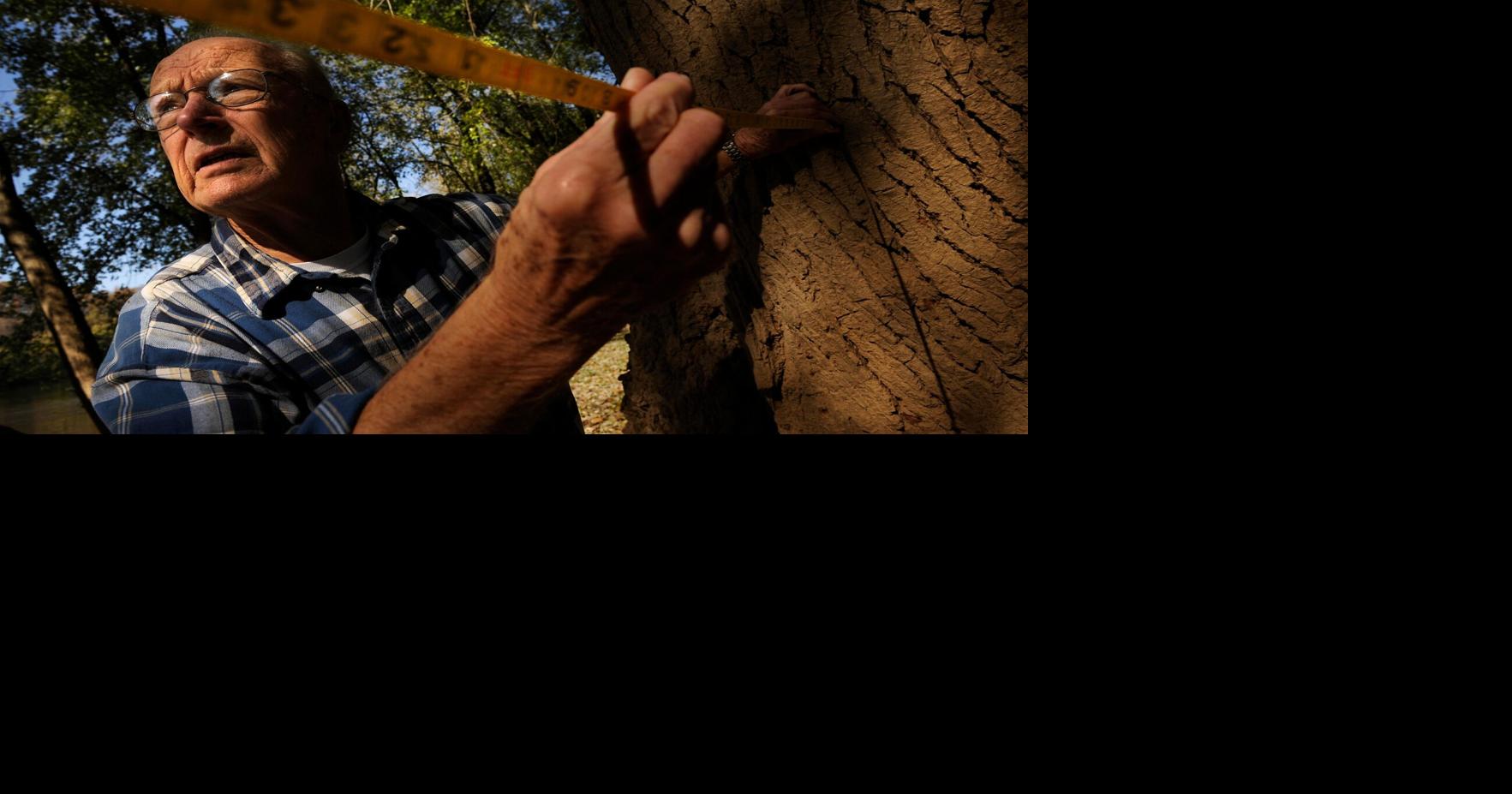 The century-old search for Maryland’s biggest trees | World Lifestyle ...