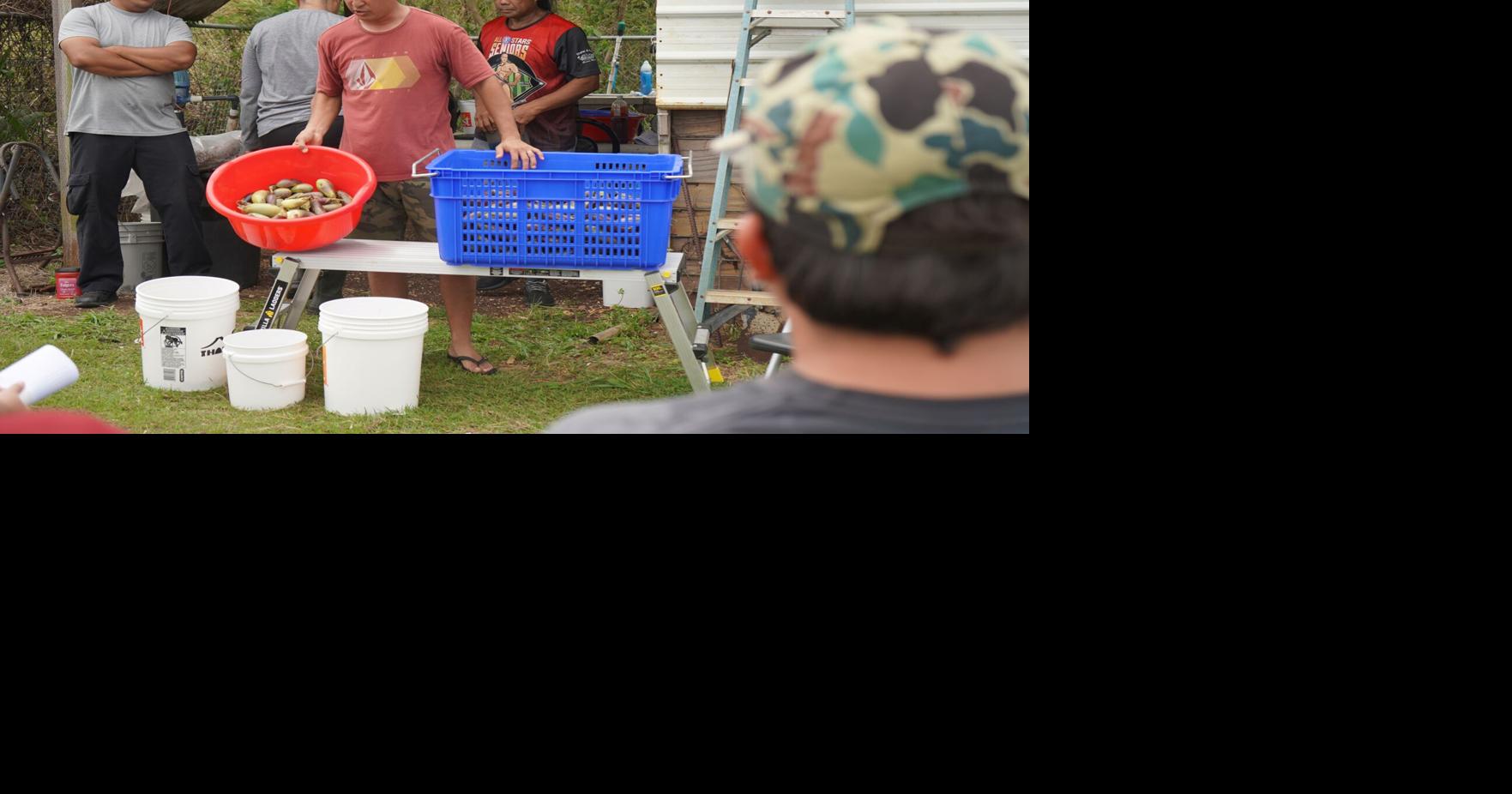 Farmers needed in crop cost study