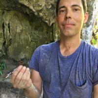Ancient rice discovery reshapes understanding of earliest Pacific voyagers