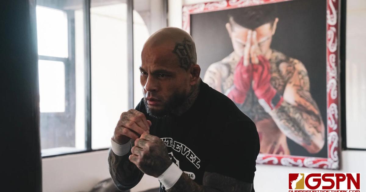 Is it Safer to Fight Bare-Fisted? : Experts Debate.