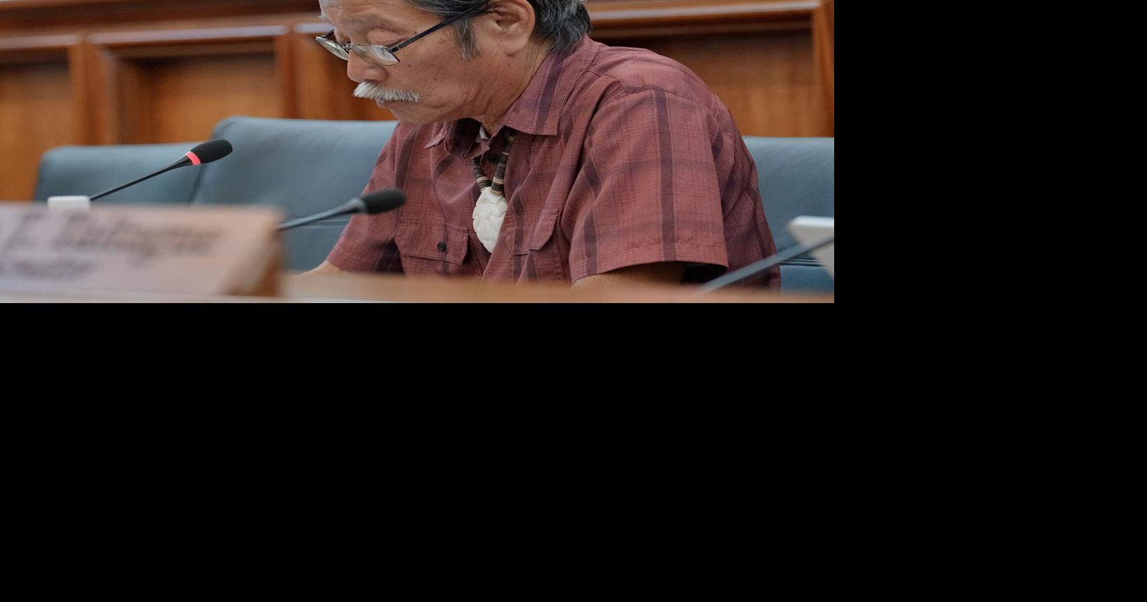 Bill proposes to codify tax amnesty program