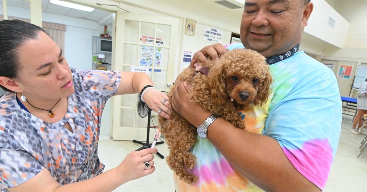 Les propriétaires amènent des animaux de compagnie à la clinique de proximité |  Nouvelles de Guam
