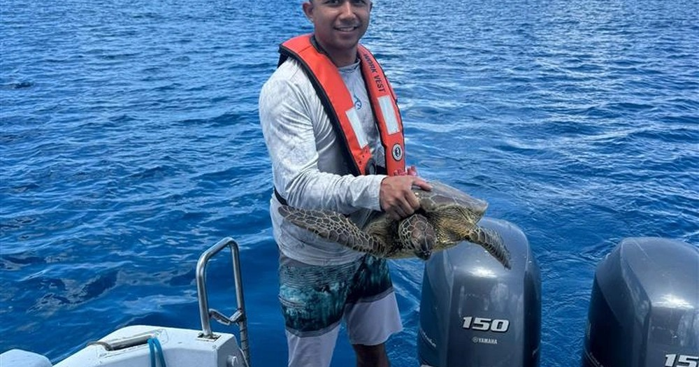Marianas sea turtles threatened