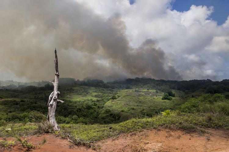 2016 tagged as island's worst wildfire season
