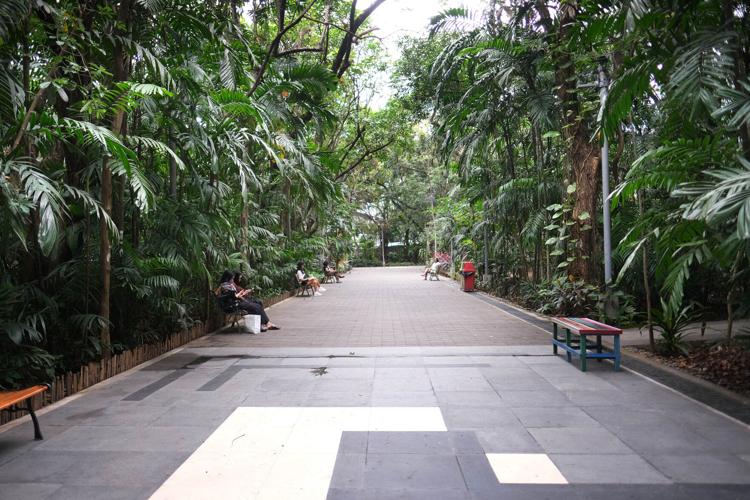 Tatlong mga atraksyon sa pamilya sa Metro Manila 9