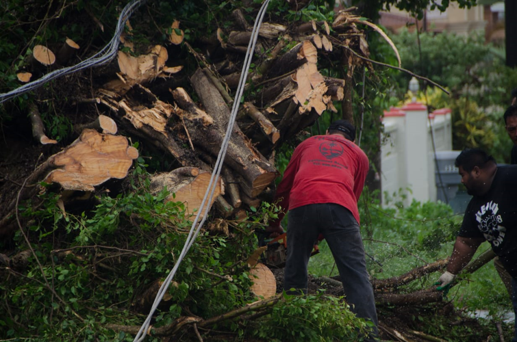 Crews work to restore power, clear roads | Local News | postguam.com
