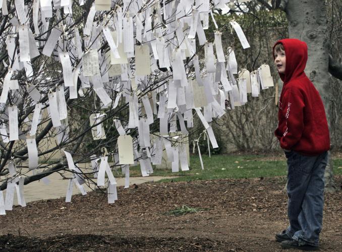 Yoko Ono brings her art project 'Wish Tree' at the National Cherry