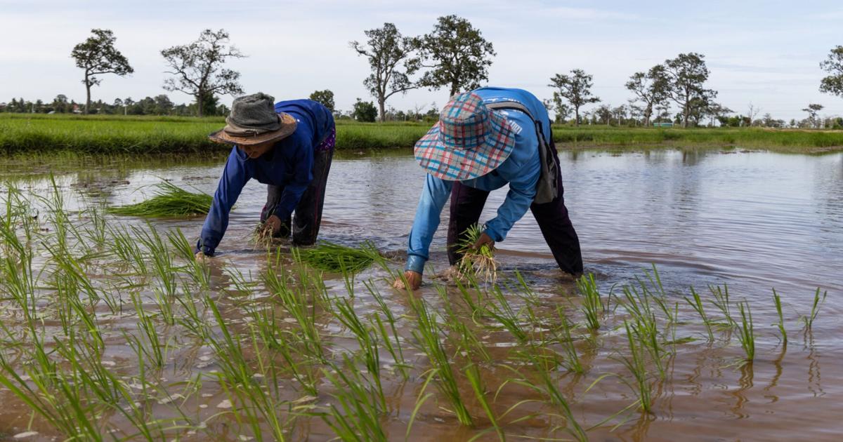 El Niño may spur inflation across Asia | World Business | postguam.com