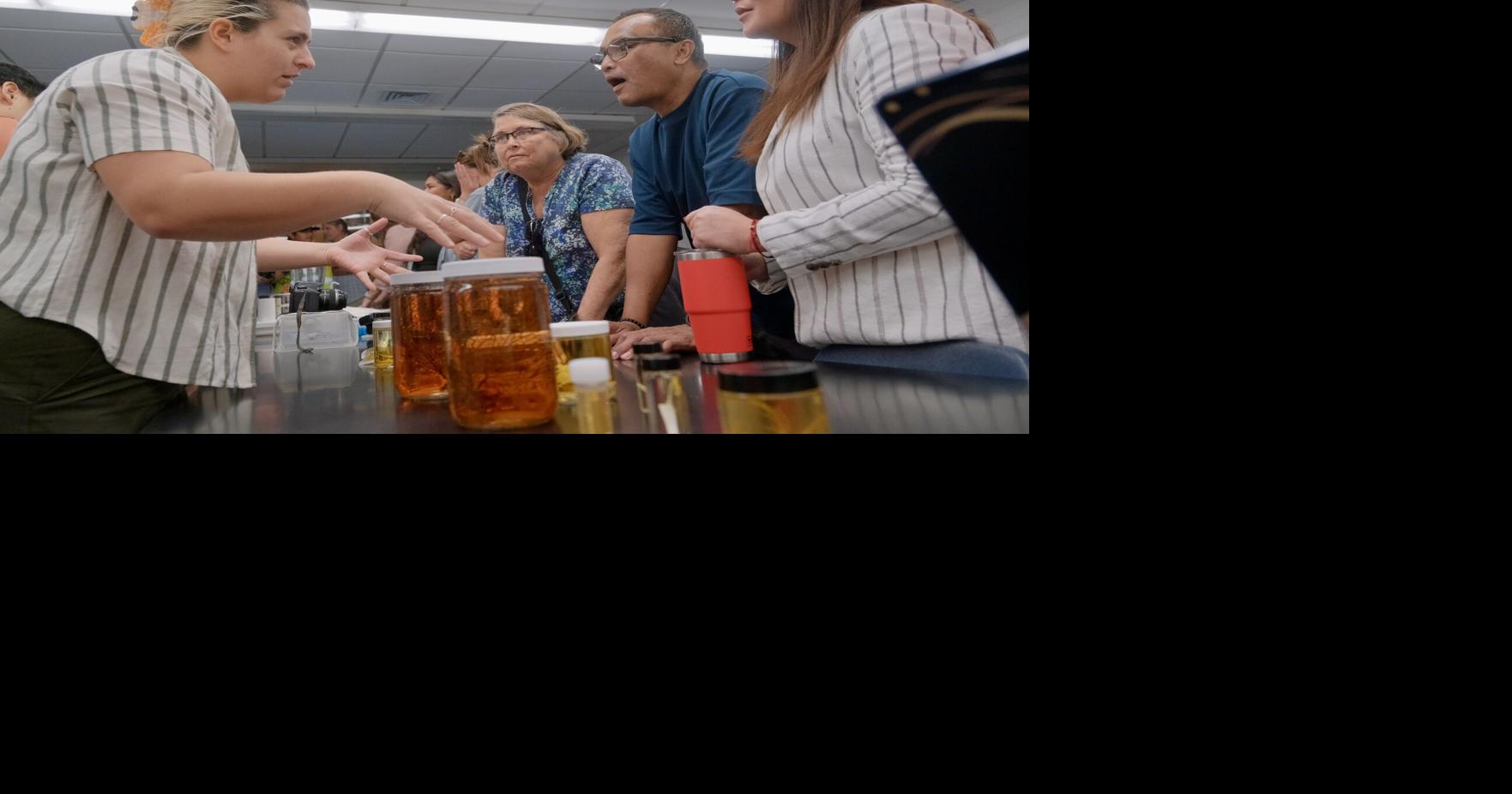 Scientists reveal hidden marine life from Guam's deep reefs after 8-year study