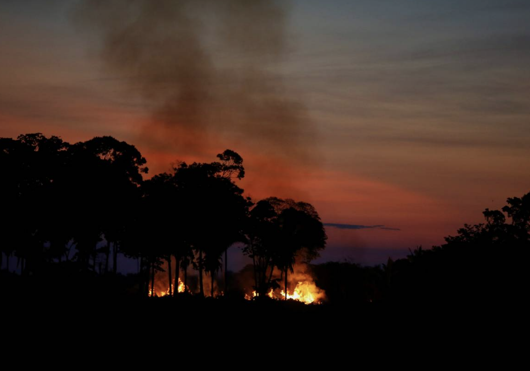 Amazon Rainforest Is Nearing Tipping Point, Scientists Warn | World ...