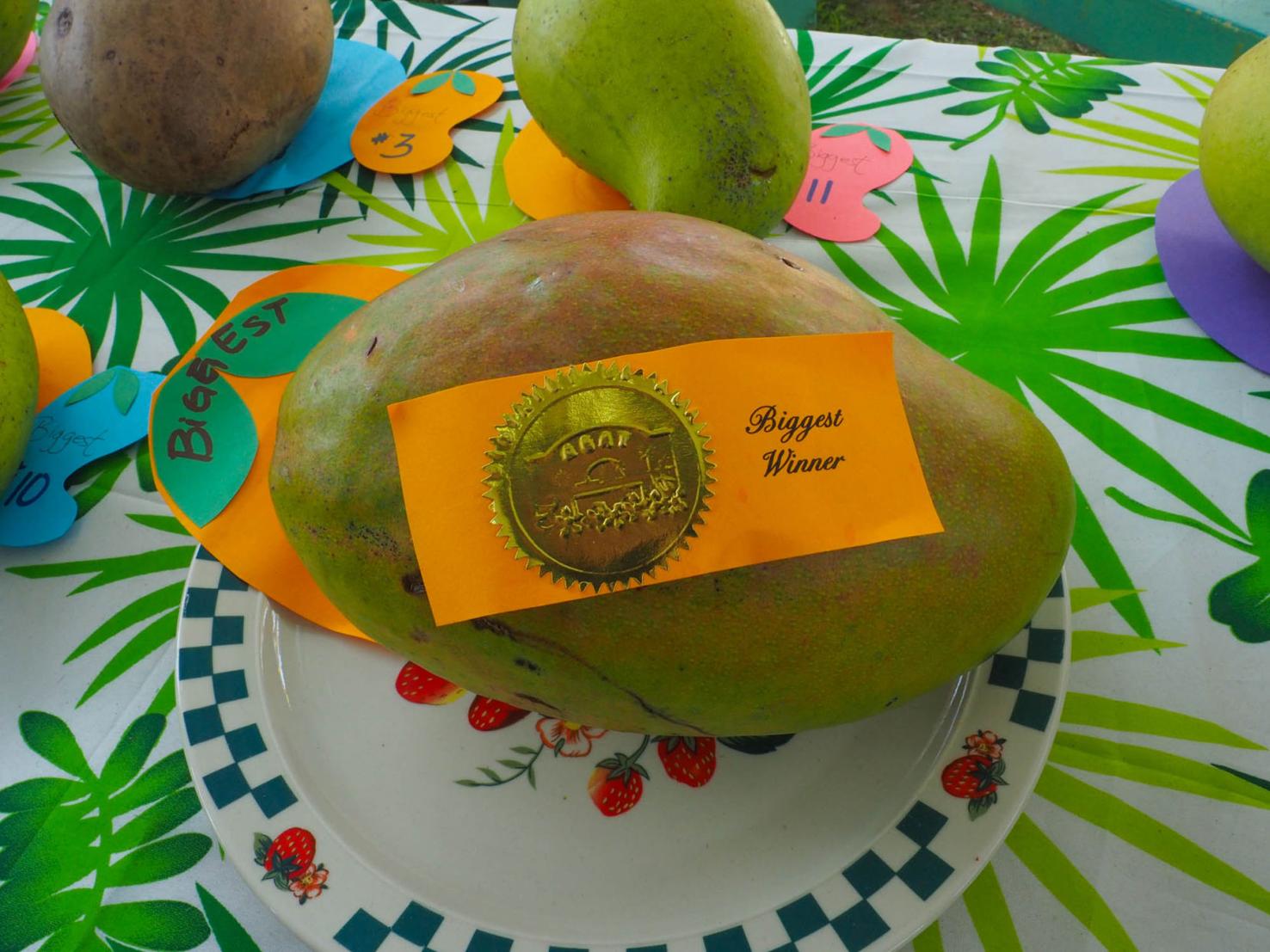 Agat Mango Festival1.jpg Guam News