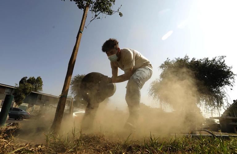 Los Angeles needs 90,000 trees to battle extreme heat. Will residents step up to plant them?