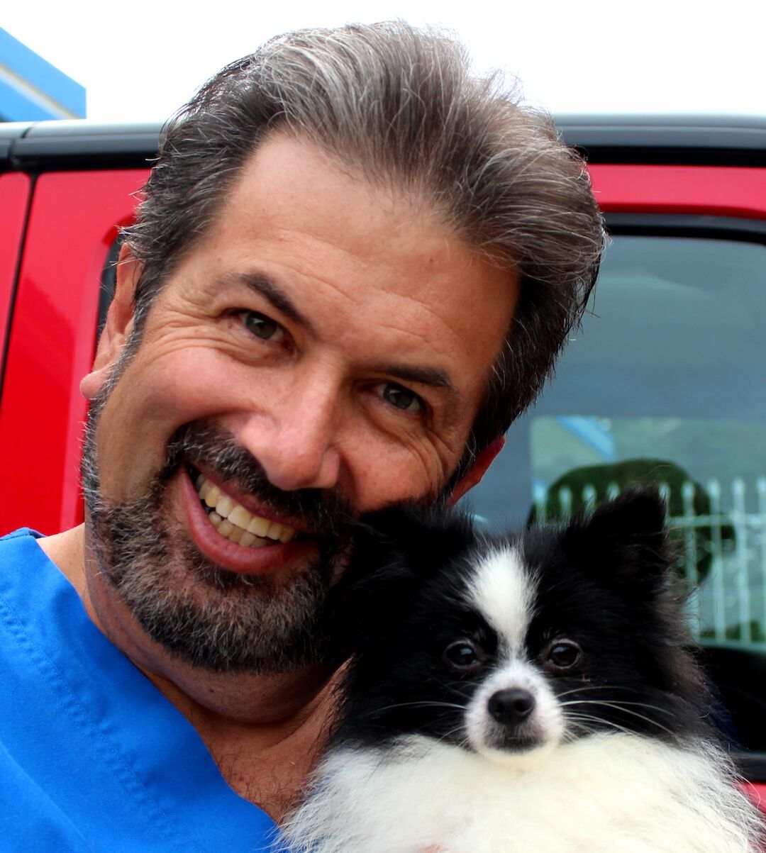 Pets and vets during the pandemic