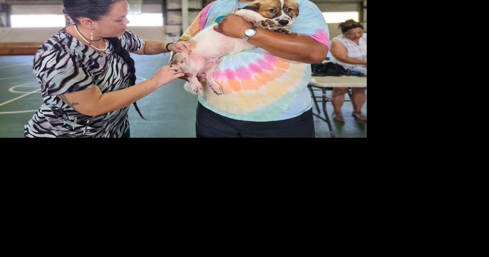 Event urges pet owners to be ‘responsible’ Guam News