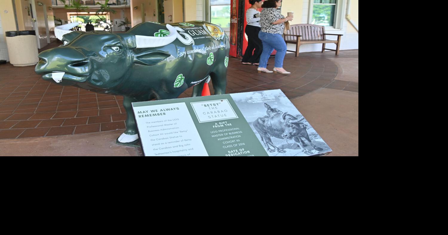 Procurement reform bills raise questions about capacity, training and execution