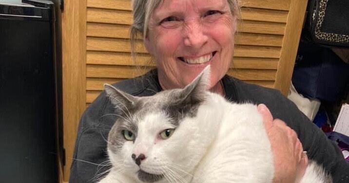 She adopted a 40-pound cat, and now they're on a weight loss journey together