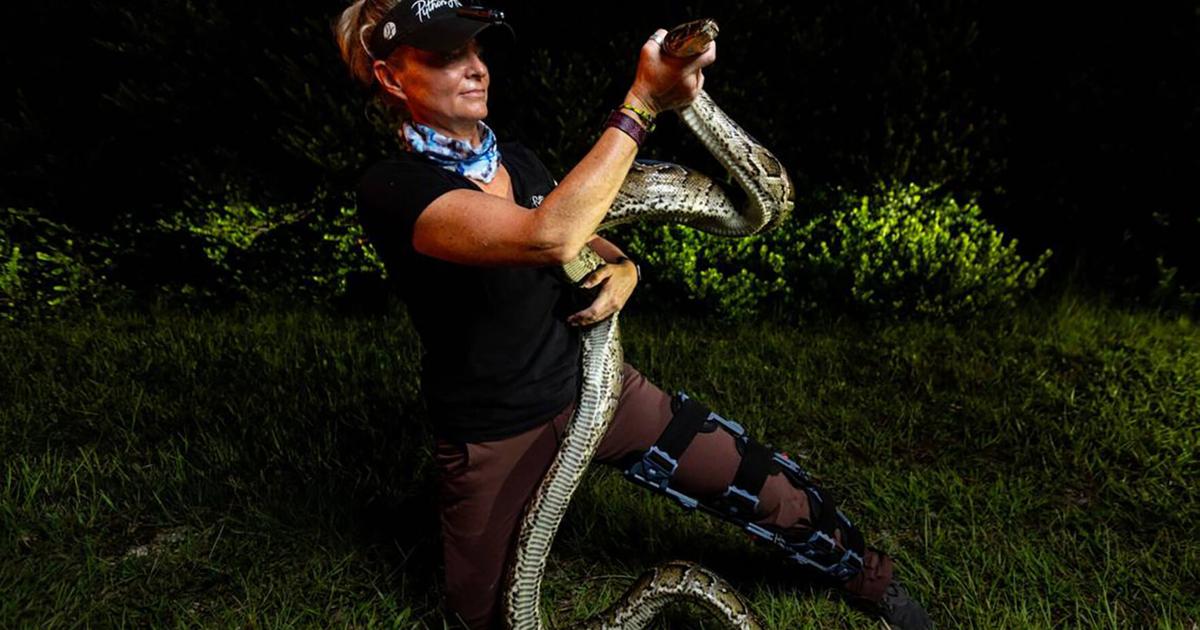 Lady Python Hunter Florida New Florida tourist thrill: Hunt, and maybe catch, a python. ‘No ...