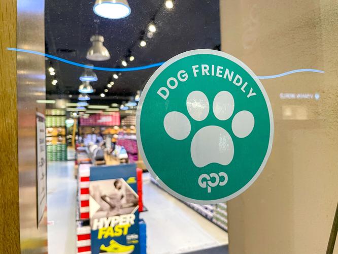 GPO, stores to welcome ‘Furry Friends’
