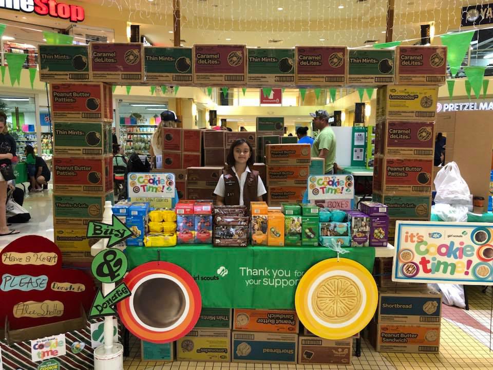 Girl Scouts celebrate service, sales The Scoop
