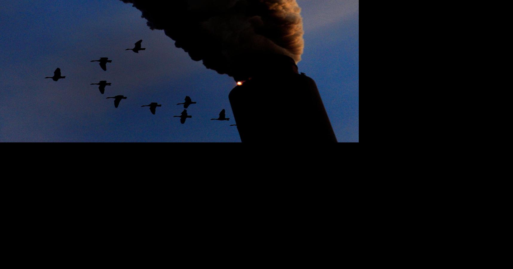 Trump repeals landmark legal policy underpinning key climate rules