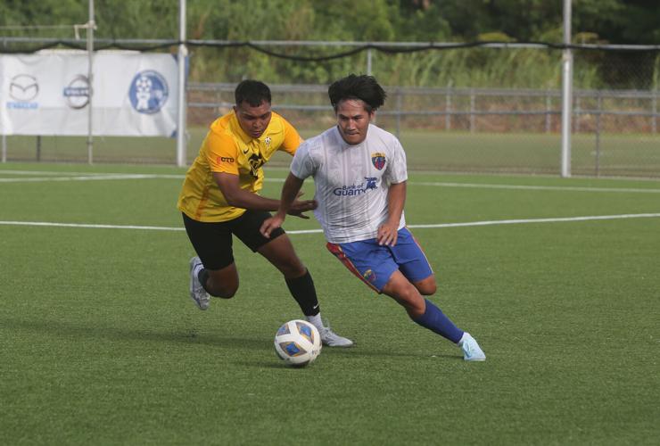 Men's championship soccer game will feature Wings and NAPA | Local ...