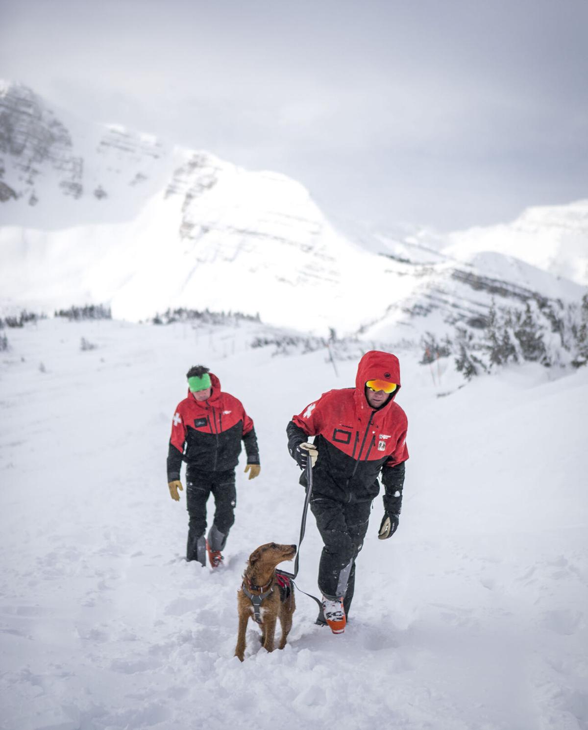 Meet the avalanche dogs who save skiers' lives