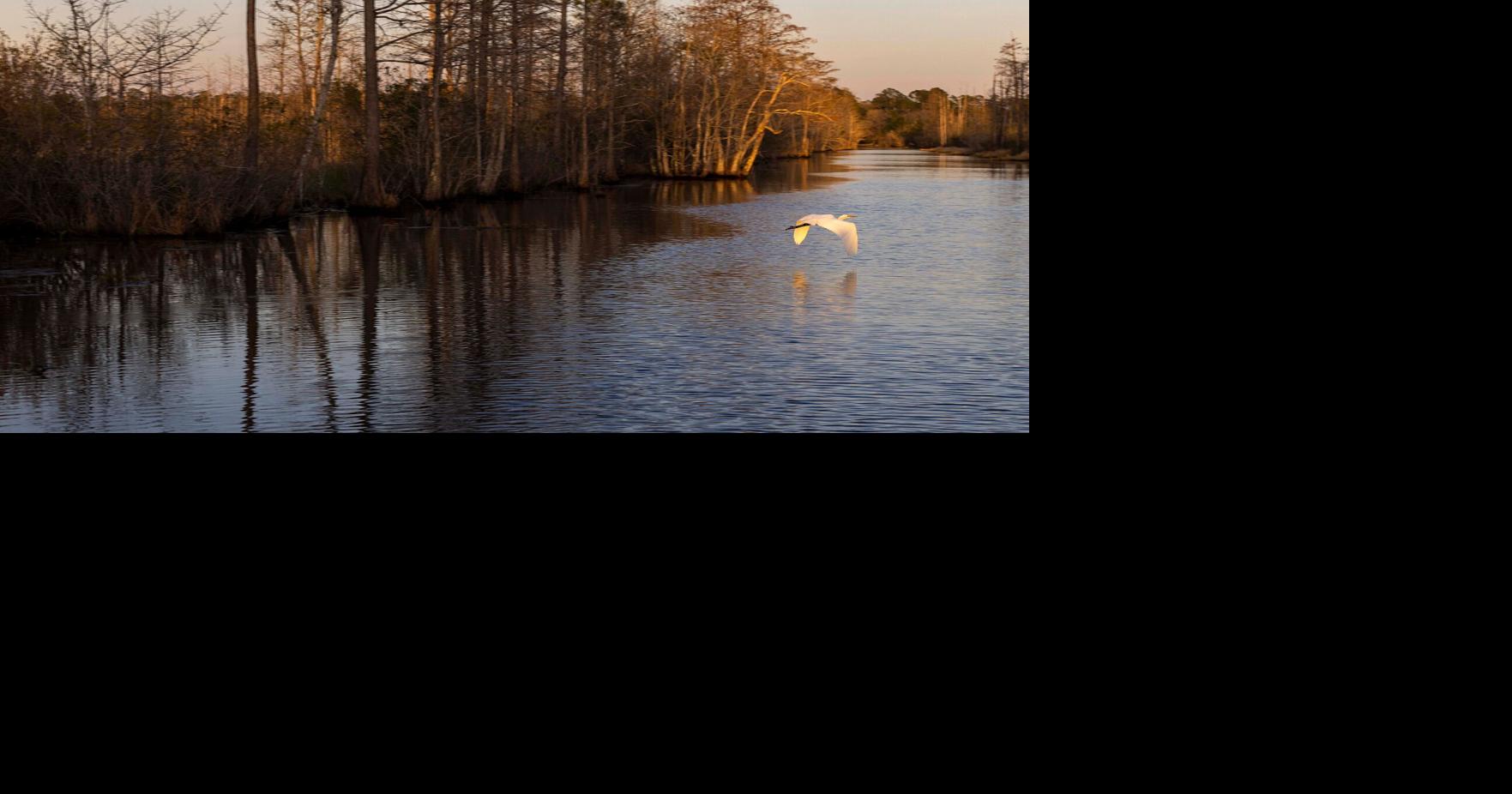 United Nations declares Okefenokee swamp UNESCO World Heritage site