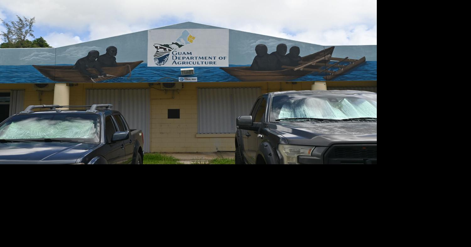 Farmer's plea to lawmakers opens window on Guam's crop relief debate