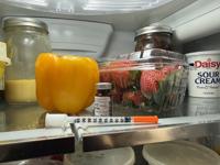 glp 1 not refrigerated Reliable GLP-1 Storage: Damage Prevention Storing GLP-1: Best Practices For