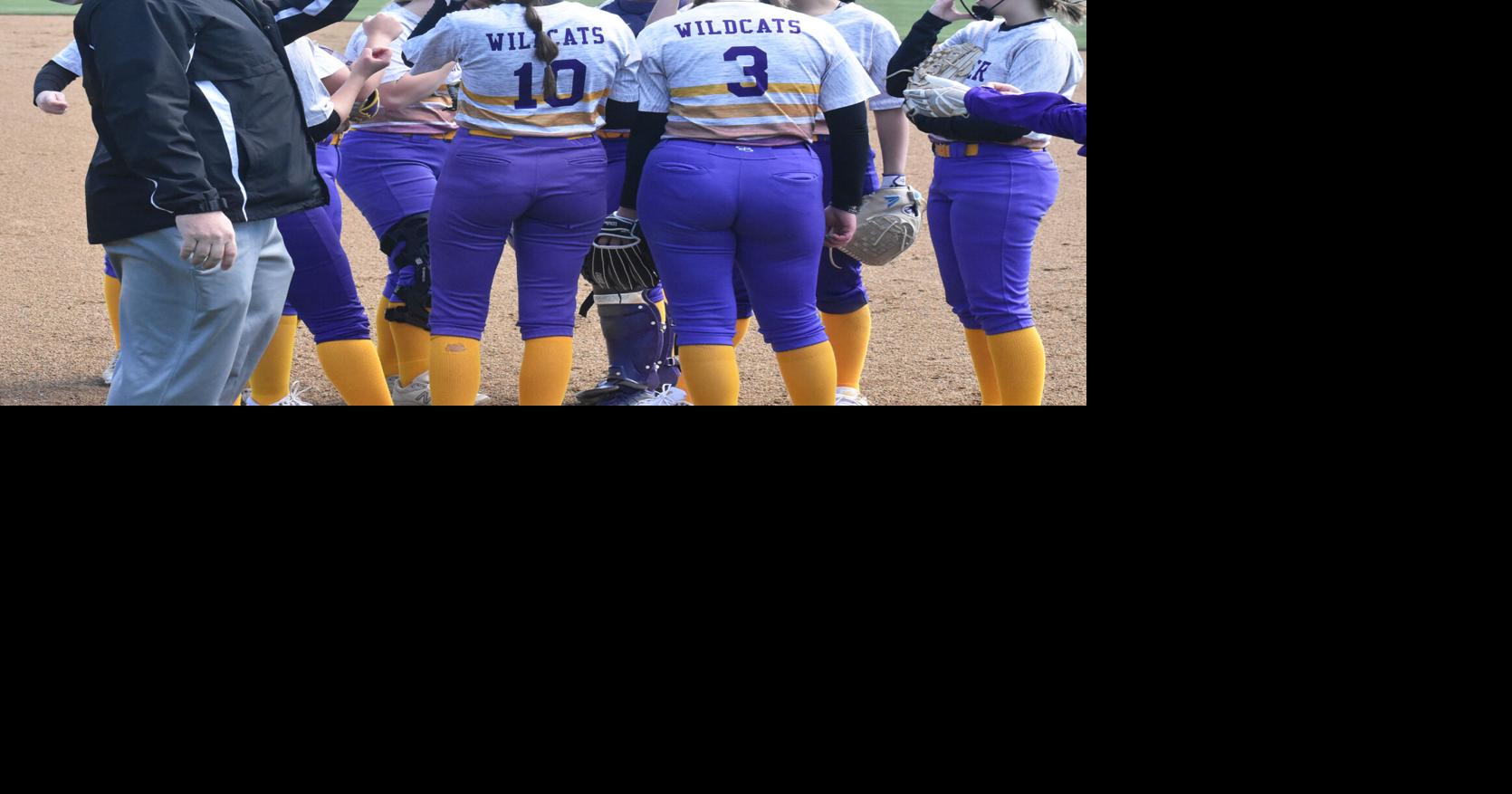 Wister teams rise in rankings, several more baseball, softball teams