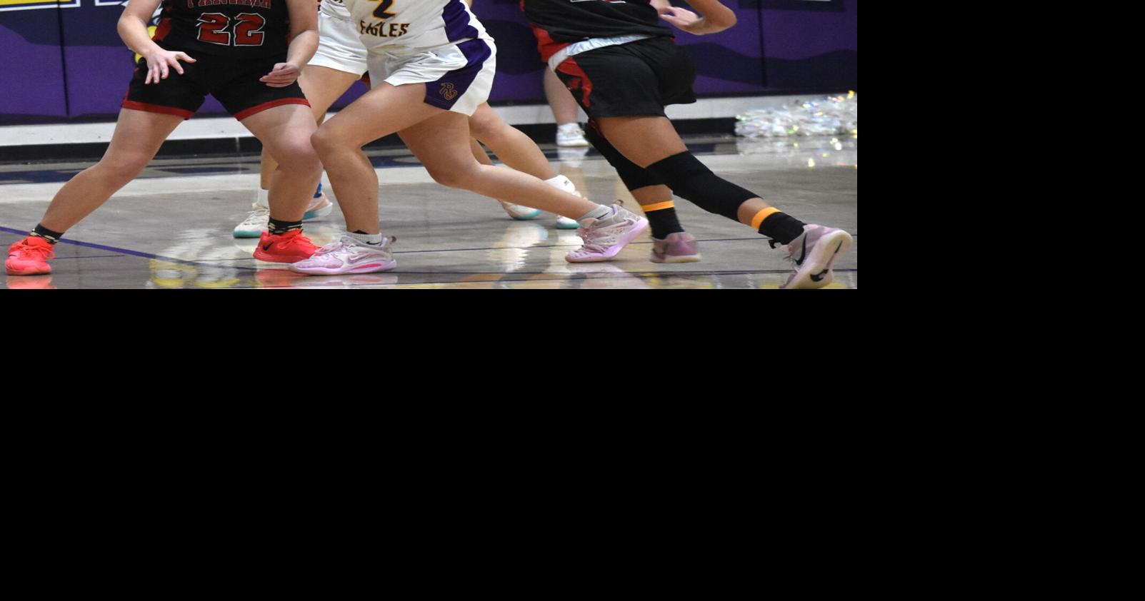 Resumes of ranked area teams heading into basketball playoffs