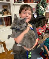 Antlers' Students Meet Library Cat