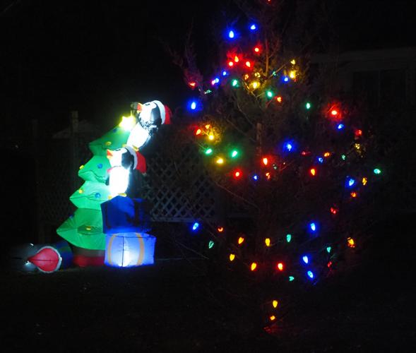 Special inflatables brighten up Wamego neighborhood News