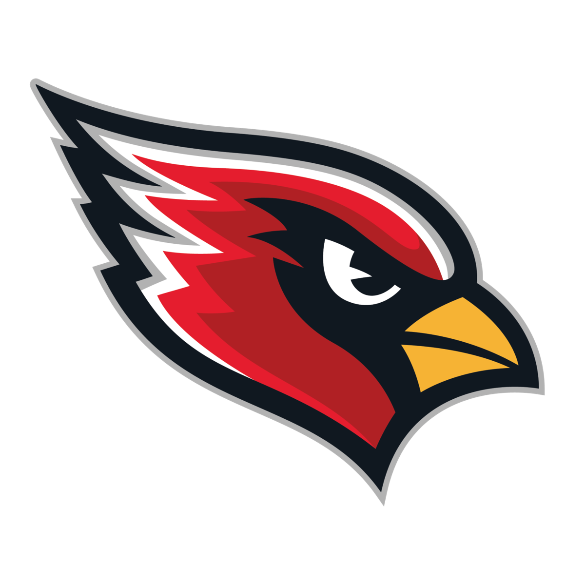 'Now starting for the Gainesville High School Cardinals... ' | Sports ...