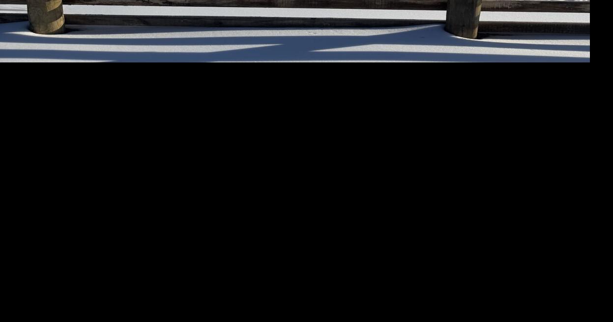 Livestock lost, farms damaged in wake of Winter Storm Fern