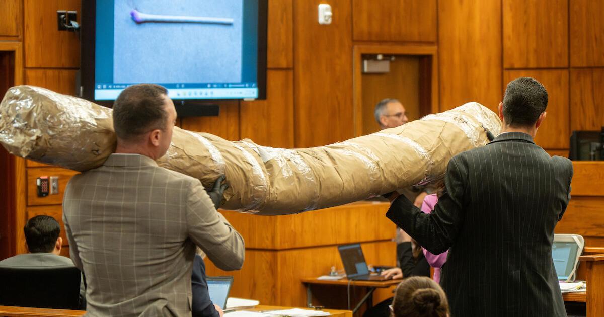 Prosecutors show jury red-stained carpet as Bhatt's murder trial continues Blood evidence, knives, cleaning supplies among forensic evidence presented in case against Naresh Bhatt By Cher Muzyk Staff Writer Oct 17, 2026 Oct 17, 2026 Updated 18 mins ago