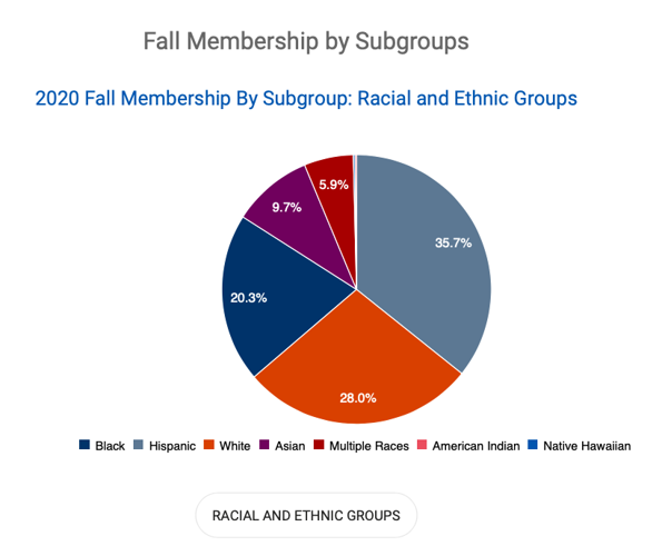 Prince William's new 'Racial and Social Justice Commission' digs into